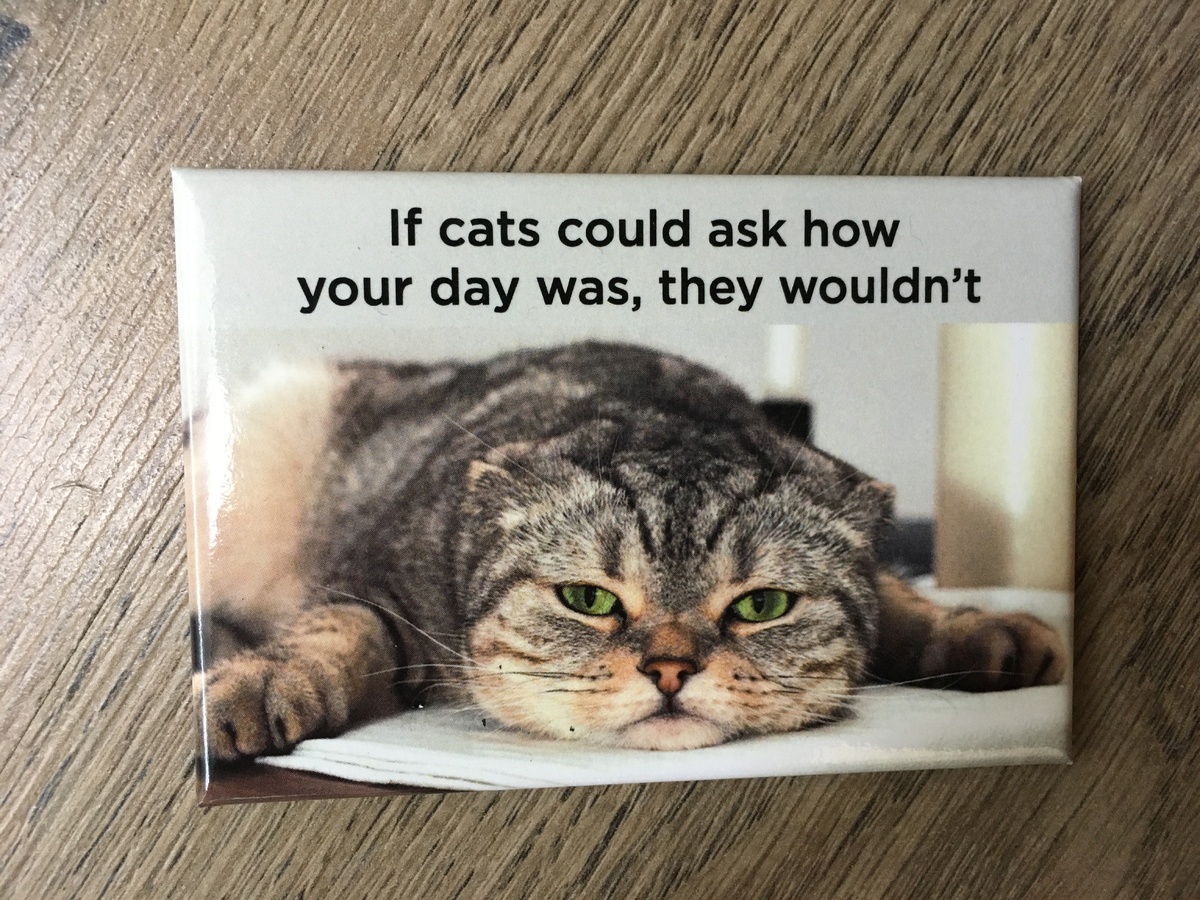 If Cats Could Ask How Your Day Was, They Wouldn't | Funny Fridge Magnet