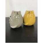 Fat Cat Salt & Pepper Shakers - Ceramic 