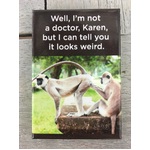 I Can Tell You It Looks Weird - Funny Fridge Magnet 