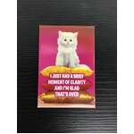 Brief Moment Of Clarity - Funny Fridge Magnet - Retro Humour