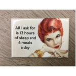 All I Ask For - Funny Fridge Magnet - Retro Humour