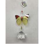 Hanging Crystal Suncatcher - Grass Yellow Butterfly w Clear Sphere