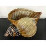 VINTAGE Ceramic Seashell Conch Planter or Vase - Large 