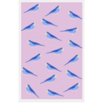 Budgies Kitchen Tea Towel - 100% Cotton