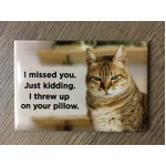 I Missed You.  Just Kidding - Funny Fridge Magnet - Cat Humour