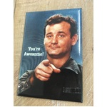 You're Awesome Bill Murray - Funny Fridge Magnet - Retro Humour