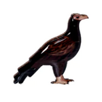 Wedge-tailed Eagle Brooch - Selatan