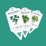 Houseplant Care Tags Set