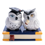 Owl Graduation Salt and Pepper Shakers