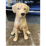 Golden Labrador Dog Money Box - Ceramic - Hand Painted - 19 cm Tall