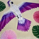 Parrot Kite - Single Line