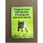 I May Not Know What the F*ck I'm Doing, But That Won't Stop Me - Funny Fridge Magnet