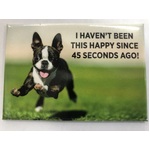 I Haven't Been This Happy Since 45 Seconds Ago - Funny Fridge Magnet - Dogs