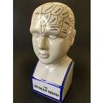 Phrenology Head Bust - Where the Car?  Little Voices