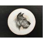 Miniature Plate - Schnauzer Dog Portrait - Made in Japan 