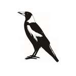 Big Magpie Tea Towel - 100% Cotton