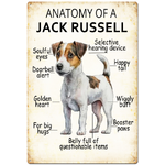 Anatomy of a Jack Russell -  Retro Tin Sign - 20 x 30 cm Portrait
