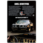1981 Trans Am -  Retro Tin Sign - 20 x 30 cm Portrait