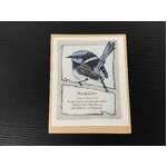 Fairy Wren Book Plates | Set of 5 Self-Adhesive | Bridget Farmer