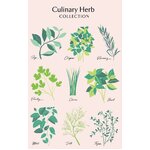 Herbs 100% Cotton Kitchen Tea Towel