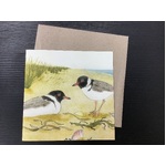 Hooded Plover Greeting Card - Bridget Farmer