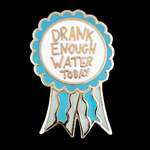 Drank Enough Water Today Lapel Pin | Jubly-Umph Originals
