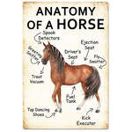 Anatomy Of A Horse | Rectangle | 20 x 30 cm | Portrait