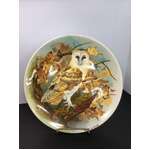 VINTAGE Coalport Barn Owl Michael B Sawdy Plate | 21 cm Diameter
