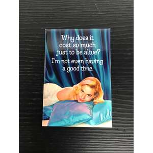 Why Does It Cost So Much To Be Alive - Funny Fridge Magnet - Retro Humour