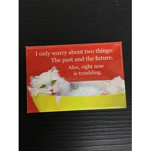 I Only Worry About Two Things - Funny Fridge Magnet 