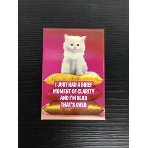 Brief Moment Of Clarity - Funny Fridge Magnet - Retro Humour