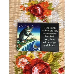 If The Earth Were Really Flat - Funny Fridge Magnet 