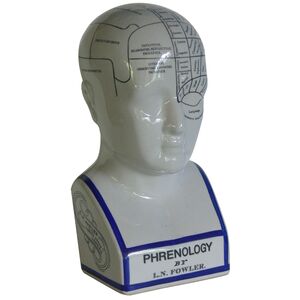 Phrenology Head - Porcelain - Large