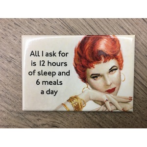 All I Ask For - Funny Fridge Magnet - Retro Humour