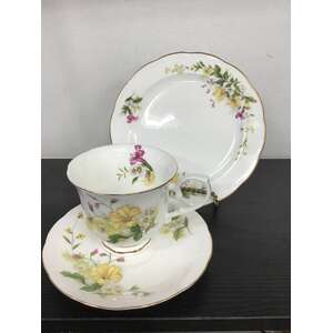 Royal Wessex Tang Shan China Clementine Tea Cup Trio