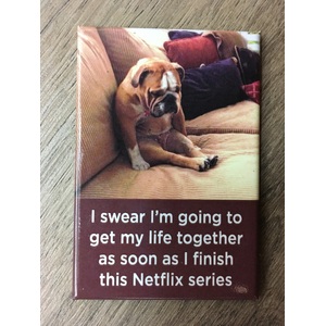 As Soon As I Finish This Series | Funny Fridge Magnet