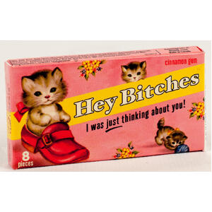 Heh B*tches I Was Just Thinking About You Gum | Cinnamon Chewing Gum