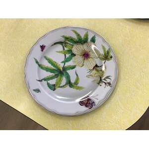 Fitzwilliam Museum Ketmia Indica Tin Dinner Plate 26 cm