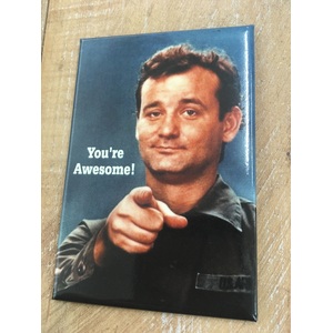 You're Awesome Bill Murray - Funny Fridge Magnet - Retro Humour
