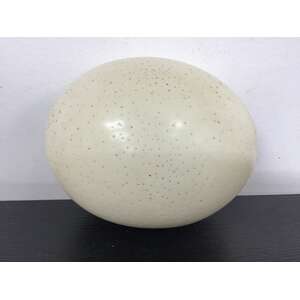 Blown Ostrich Egg - 14.5 cm Tall 