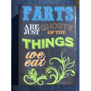Farts Are Just Ghosts - Funny Fridge Magnet