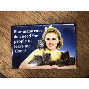 How Many Cats - Funny Fridge Magnet