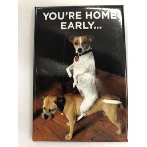 You're Home Early - Funny Fridge Magnet - Dog Humour