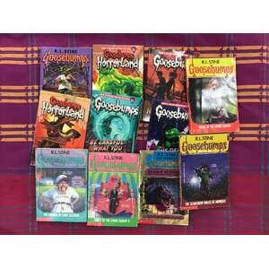 VINTAGE Goosebumps Books x 22 - RL Stine 90's Horror Fiction