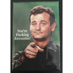 You're F**king Awesome - Funny Fridge Magnet - Retro Humour - Bill Murray