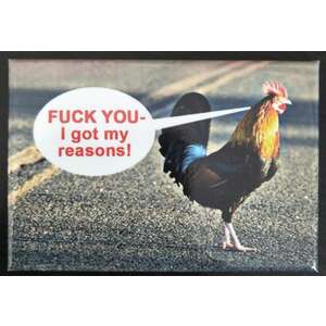 I Got Reasons | Funny Fridge Magnet | Retro Humour | 8 x 5.5 cm
