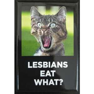 Lesbians Eat What? | Funny Fridge Magnet | Retro Humour | 8 x 5.5 cm