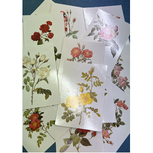 VINTAGE 1993 Pierre-Joseph Redoute (1759-1840) - 15 Rose Postcards - Bloomsbury Books