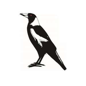 Big Magpie Tea Towel - 100% Cotton