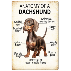 Anatomy of a Dachshund -  Retro Tin Sign - 20 x 30 cm Portrait